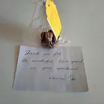 Antea 3 Vlorë