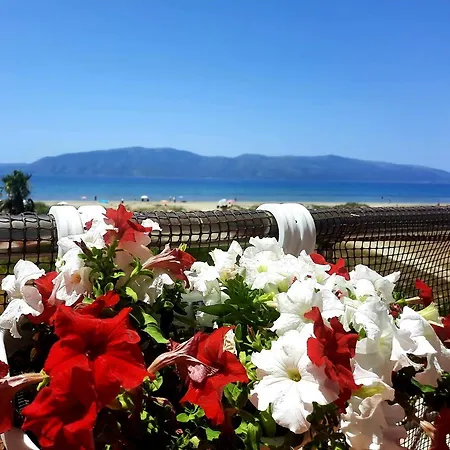 Antea 3 Apartman Vlora